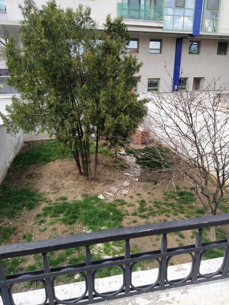 Parcul Circului Bucuresti, sector 2,